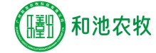 和池